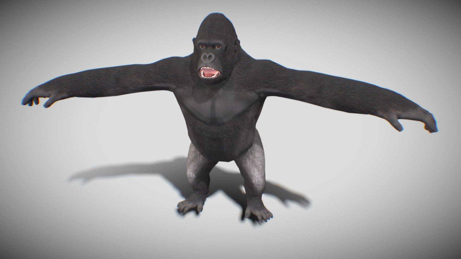 Gorilla 3d model