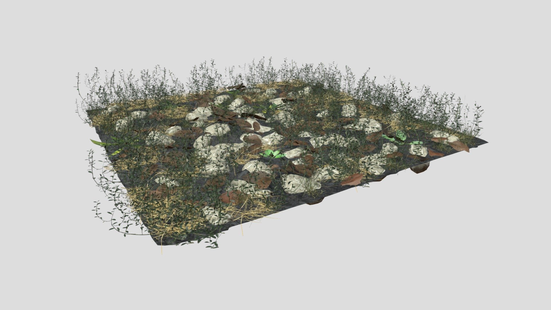 Knotweed Meadow Patch 3d model