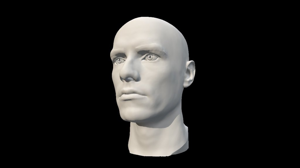 Caucasian adult male head scan 3d model