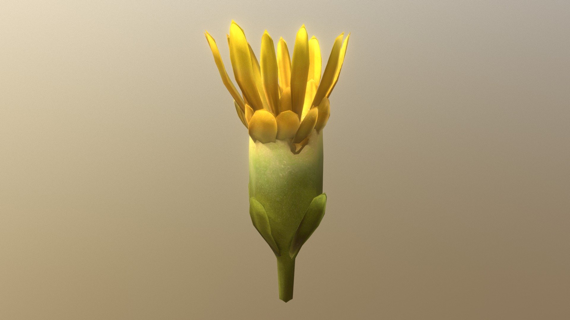 Goldenrod Blossom 3d model