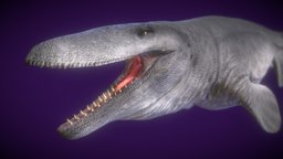 Tylosaurus