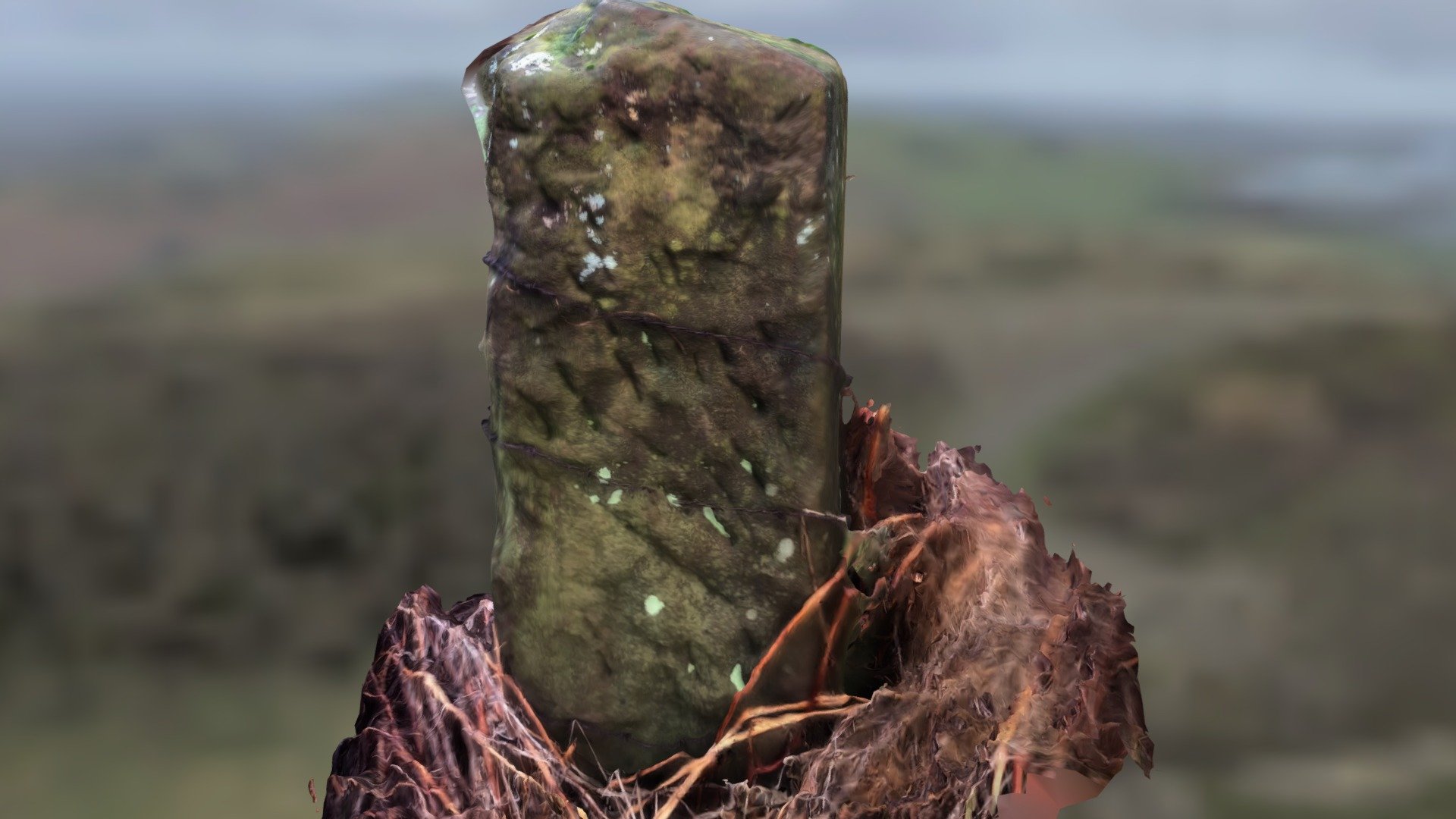 Neston Sandstone 3d model