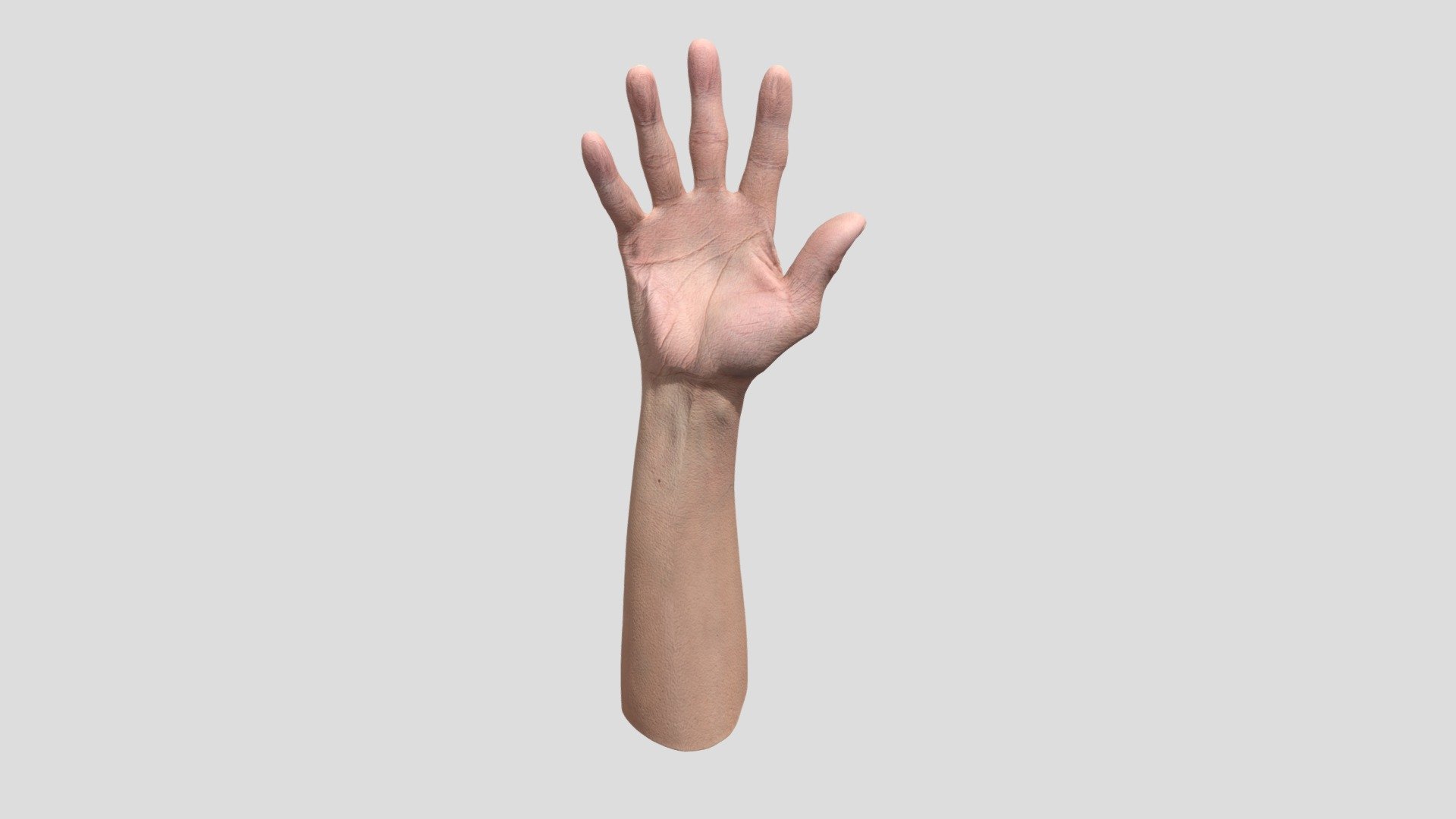 Retopologized 3D Hand Scan Ike Hidetsugu 3d model