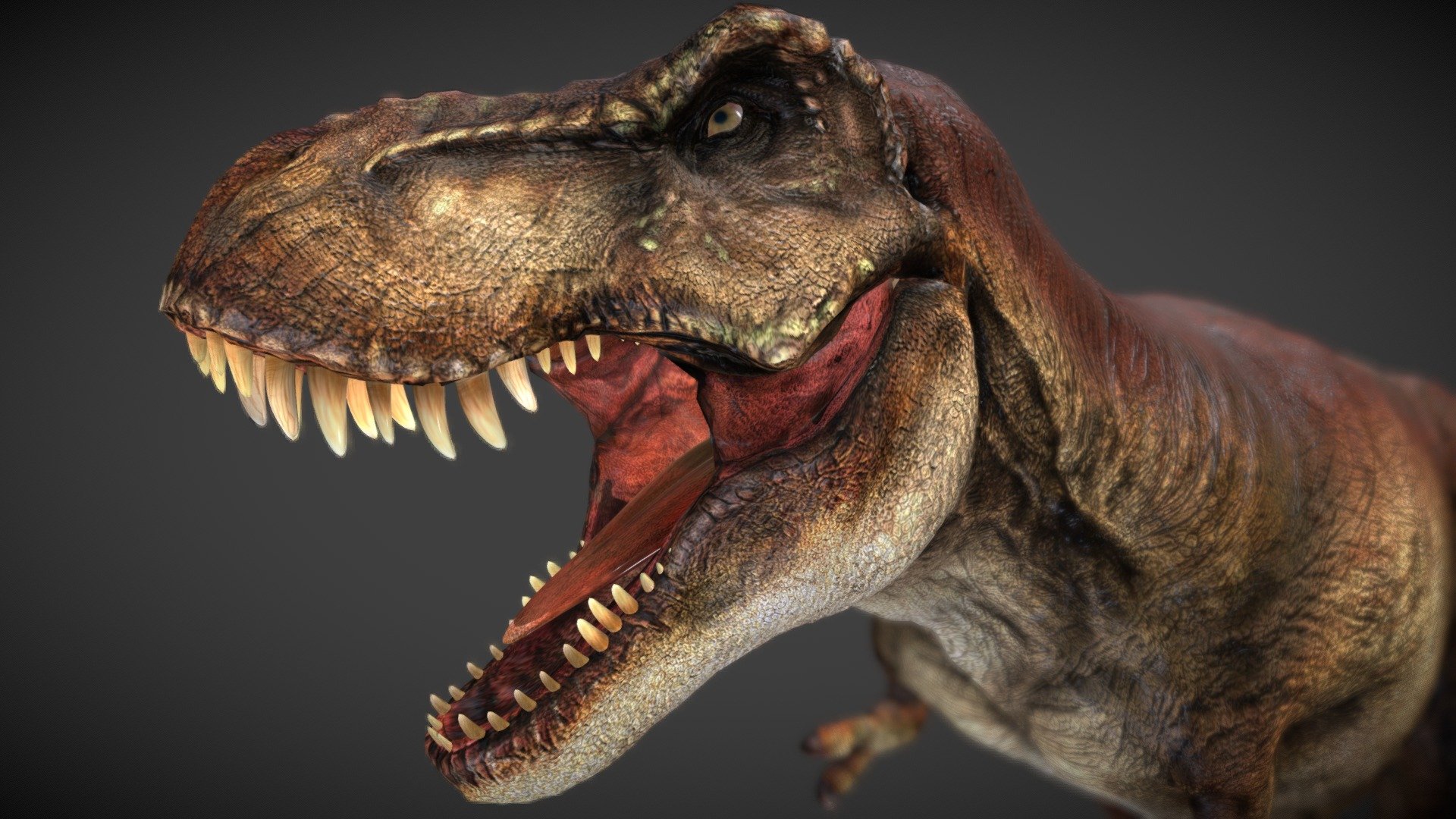 T-Rex 3d model