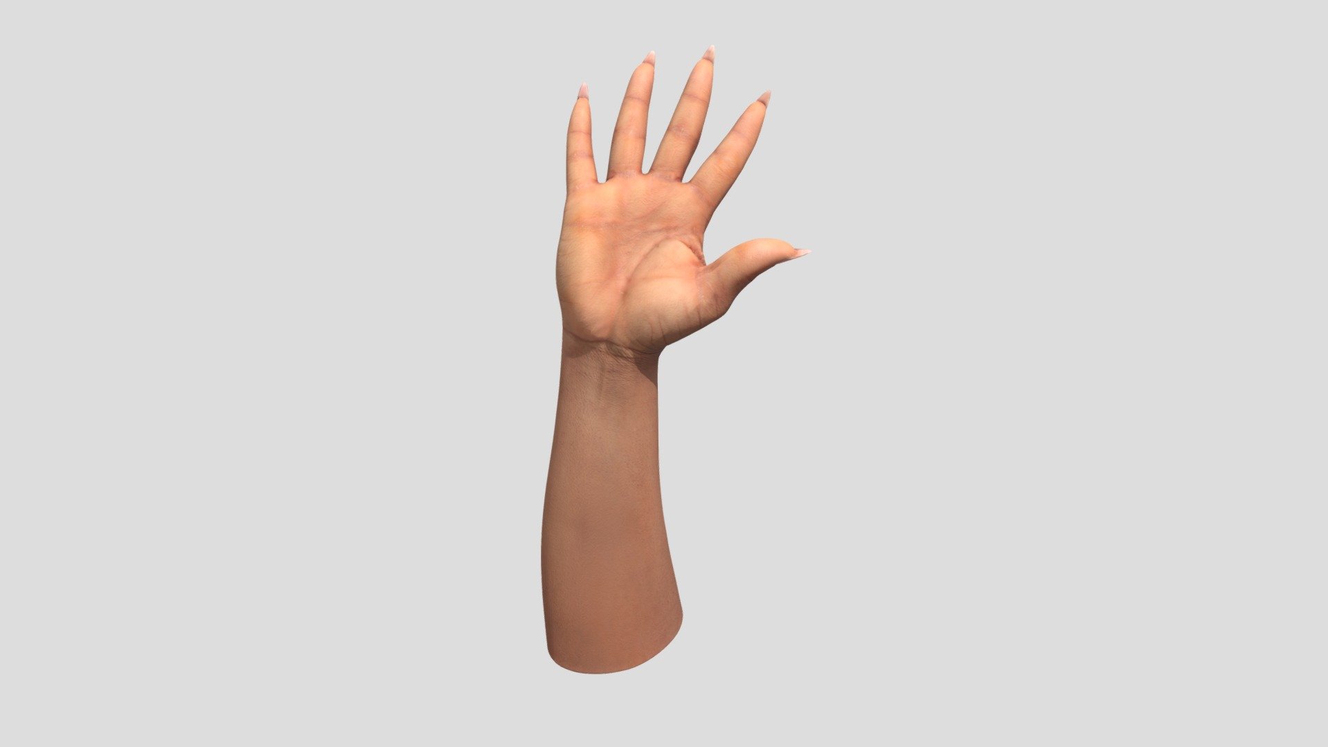 Retopologized 3D Hand Scan Alberaneshia Allen 3d model