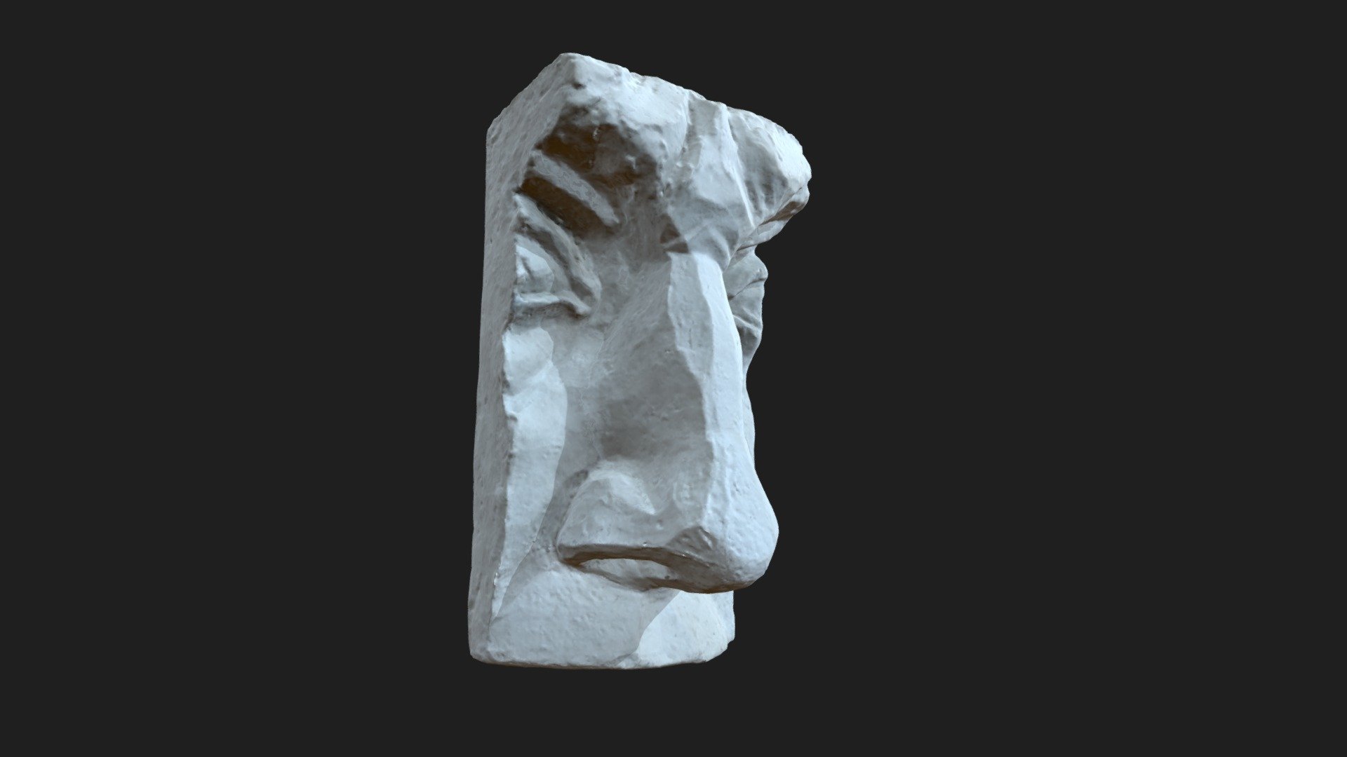 Nose David Gypsum 3d model