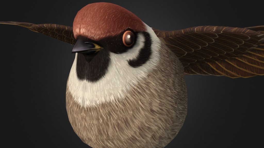 Sparrow 3d model