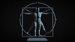 The Vitruvian Man