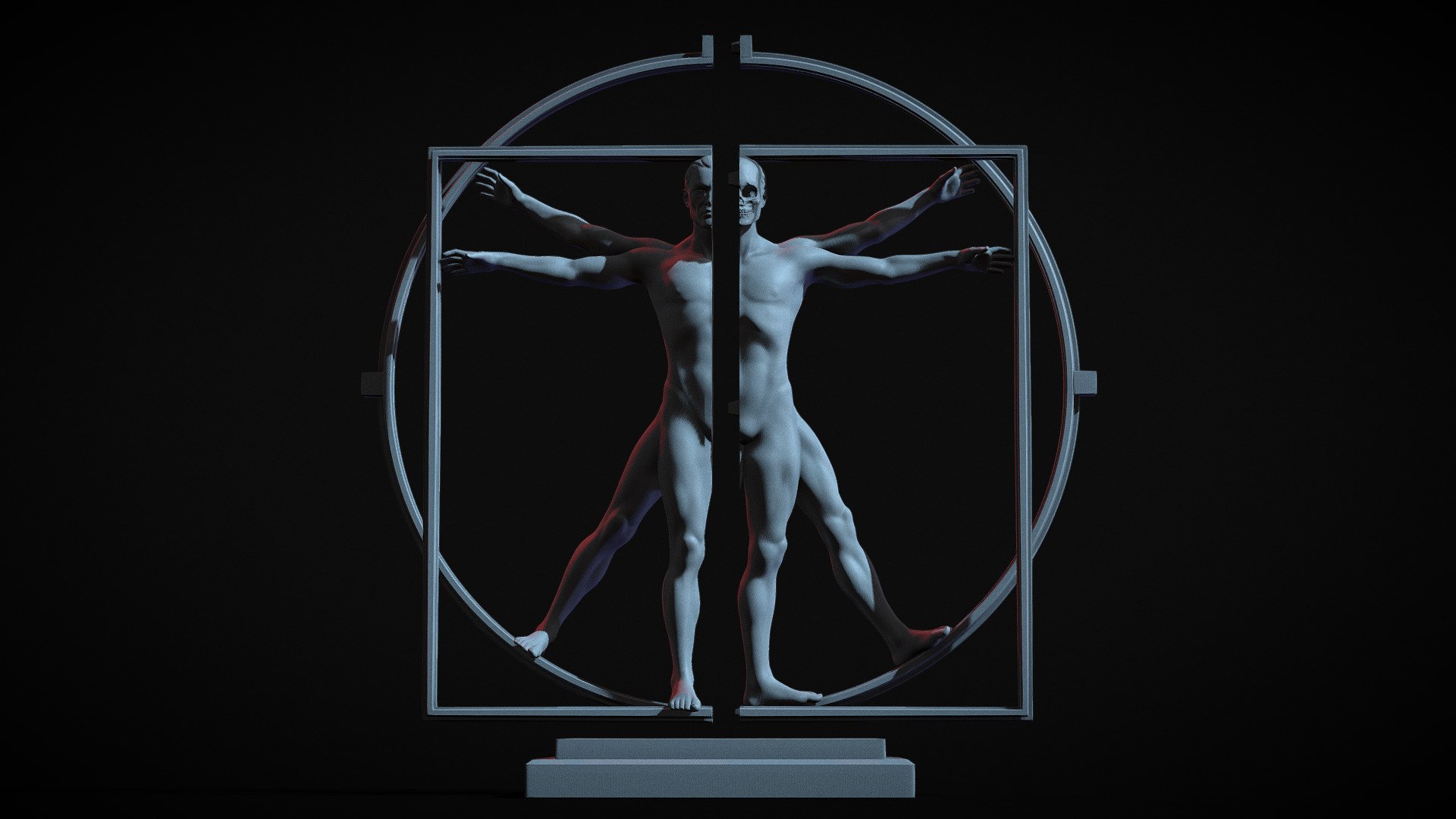 The Vitruvian Man 3d model