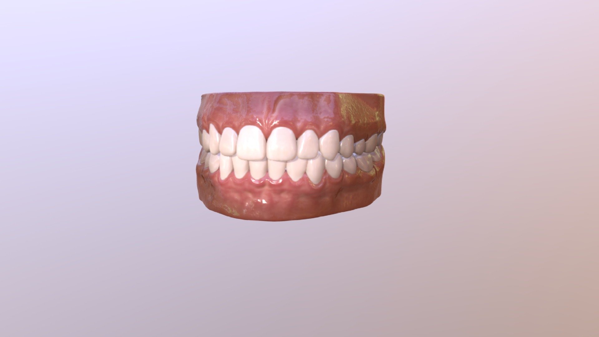 Teeth 3d model