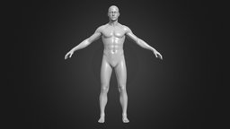 base_male_body