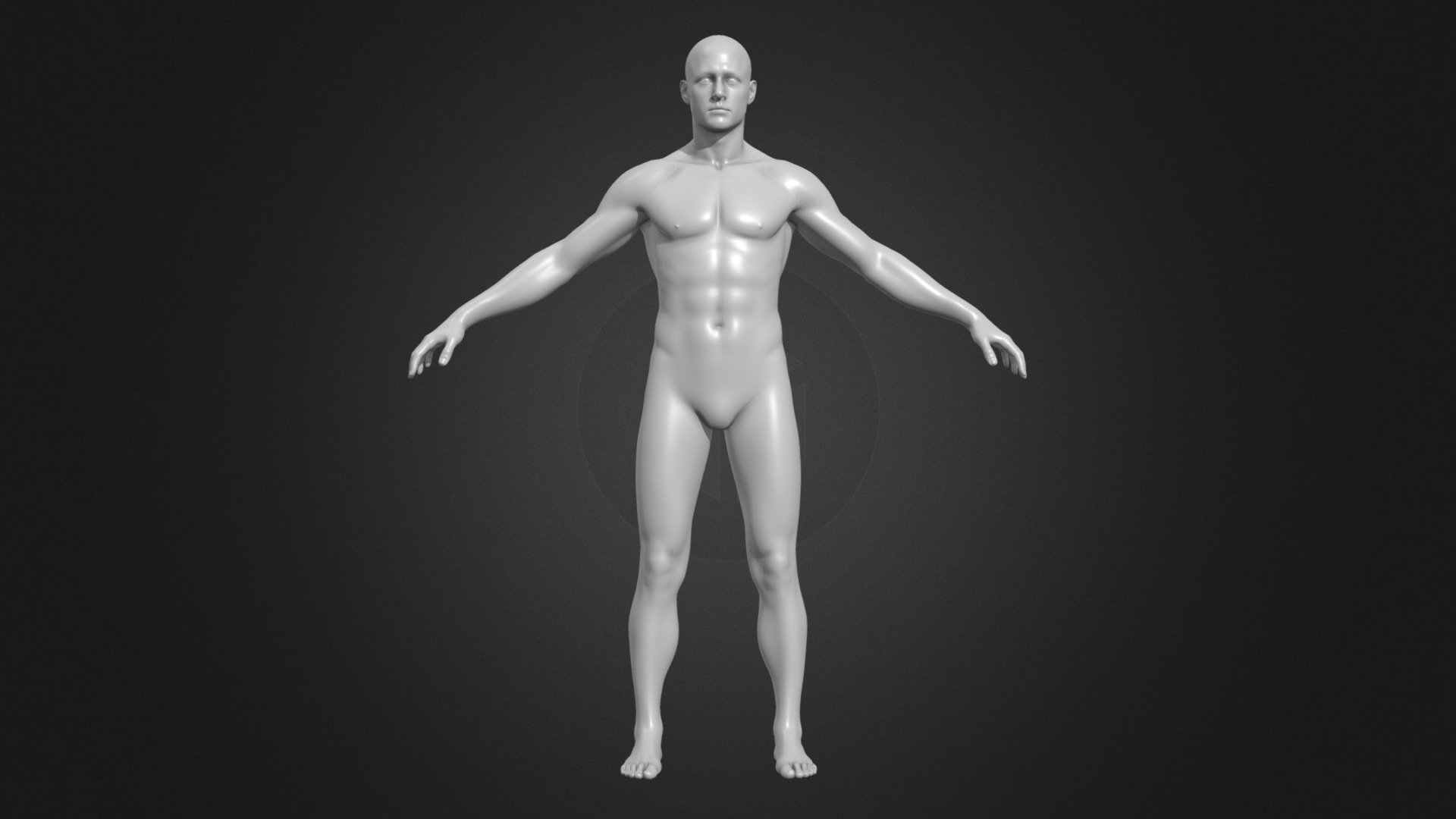 base_male_body 3d model