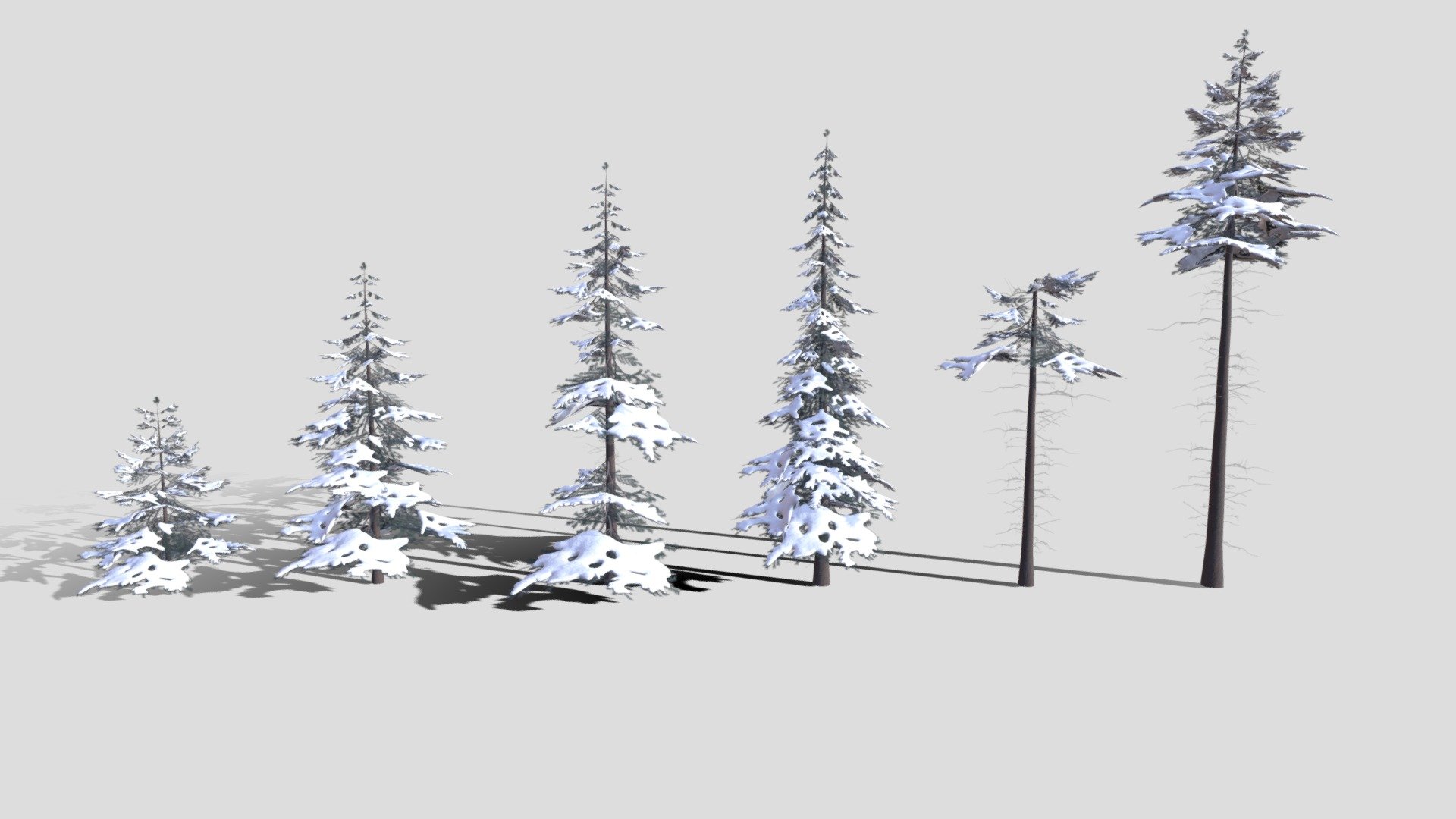 Low Poly Snowy Spruce Tree Pack 3d model