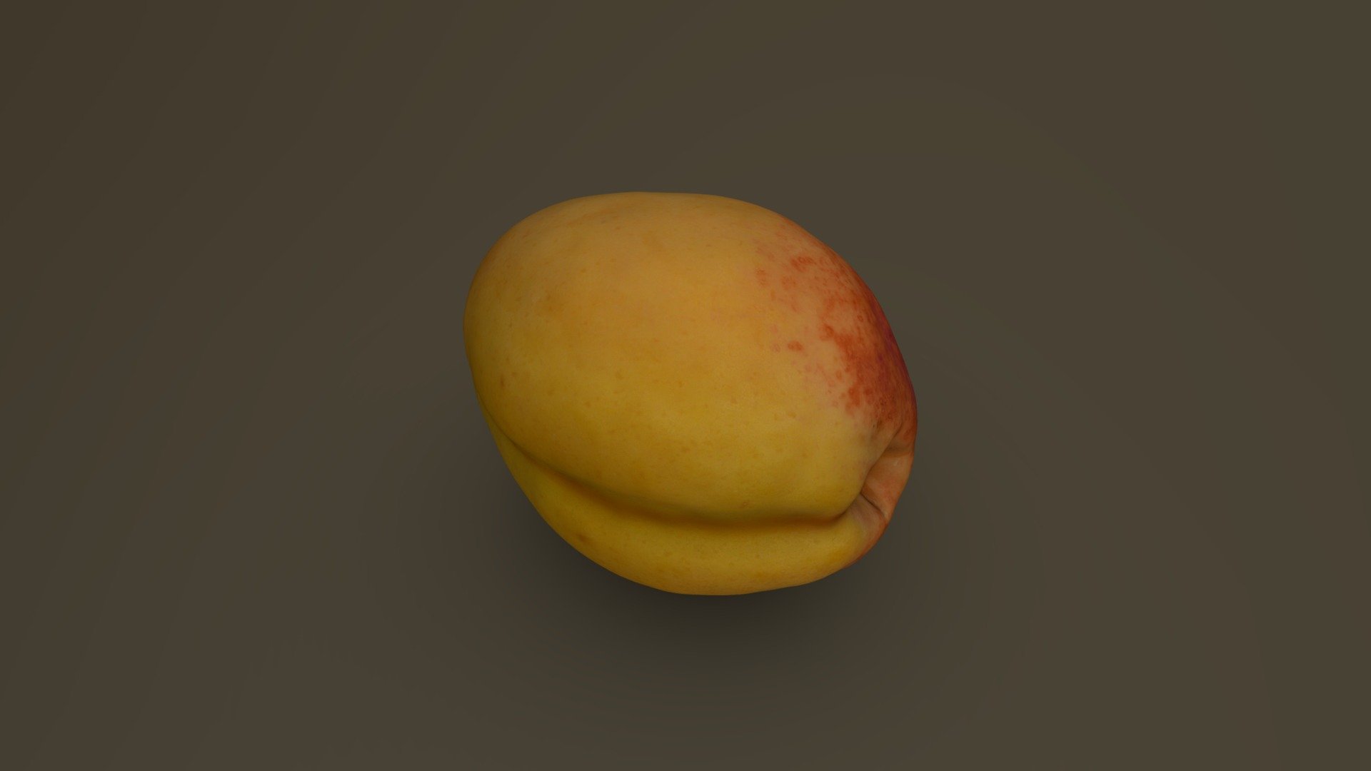 Apricot 10 3d model