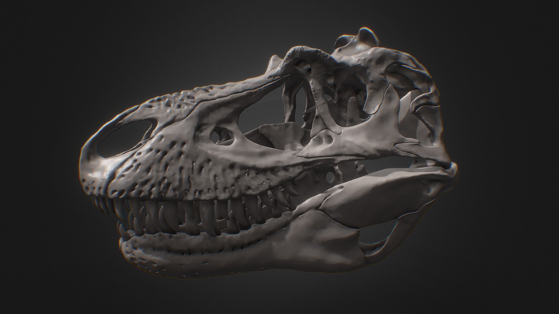 Gorgosaurus skull 3d model