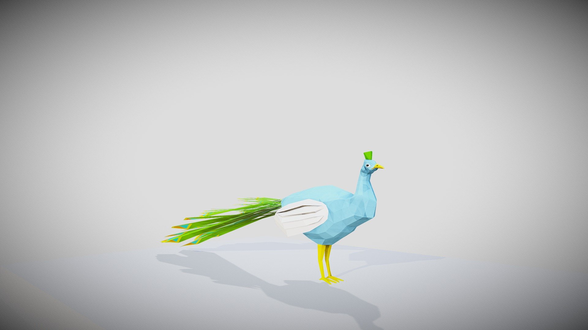 Peacock 3d model