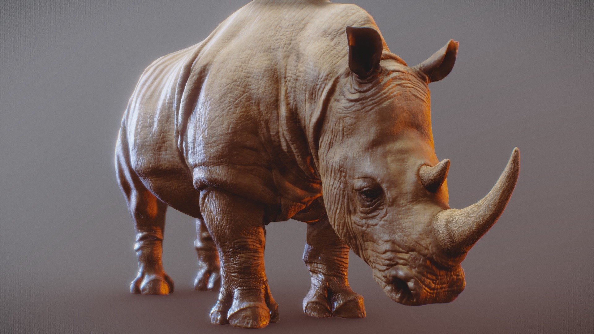 Rhino 3d model