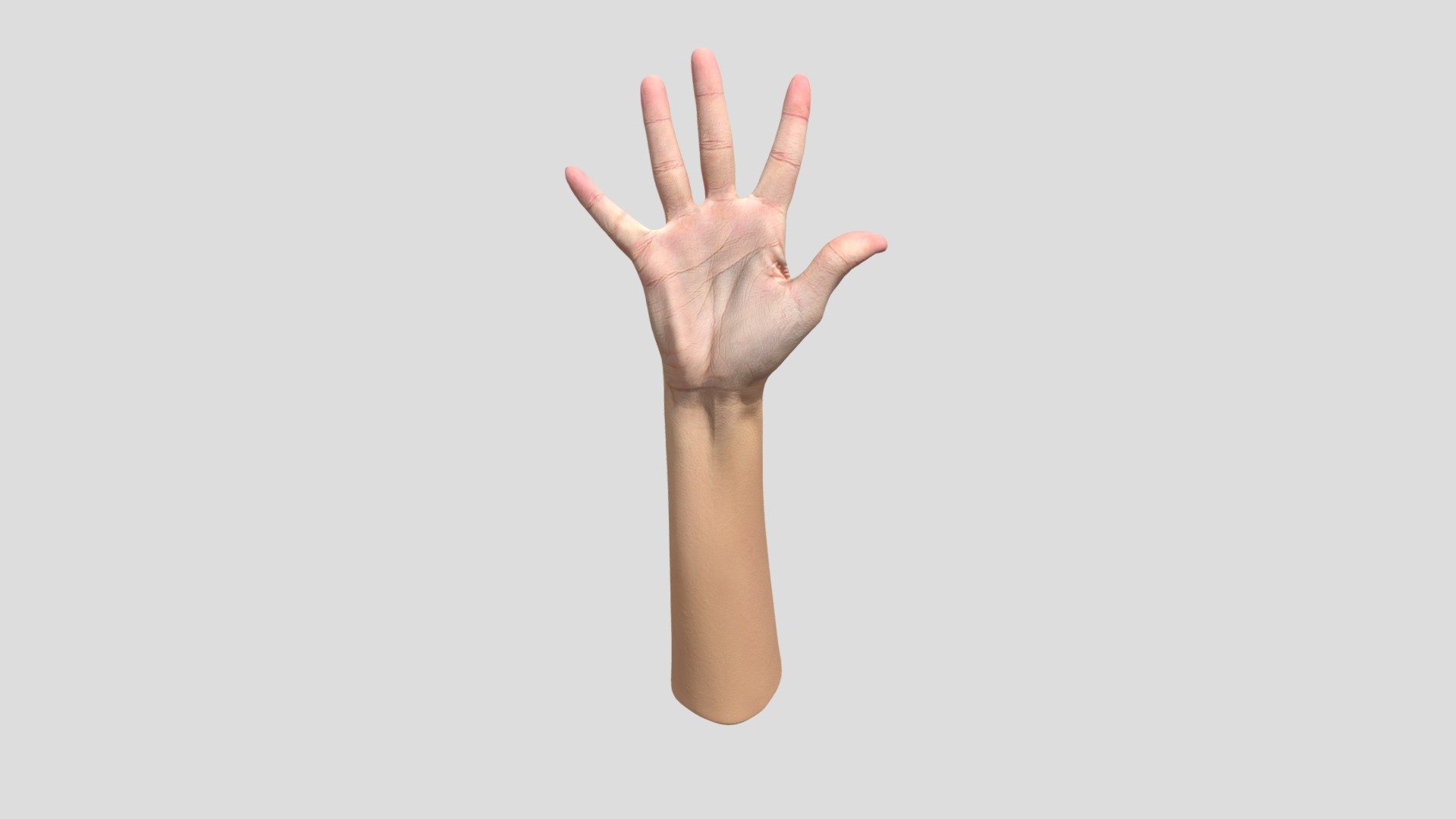 Retopologized 3D Hand Scan Marina Tamayo 3d model