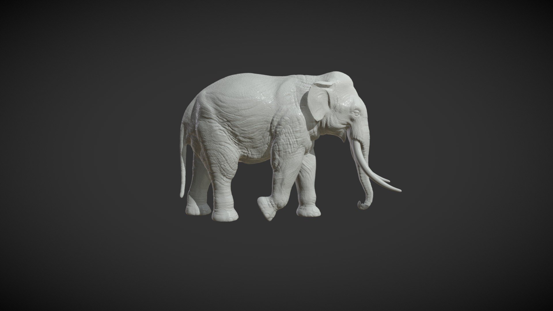 Asian Elephant 3d model