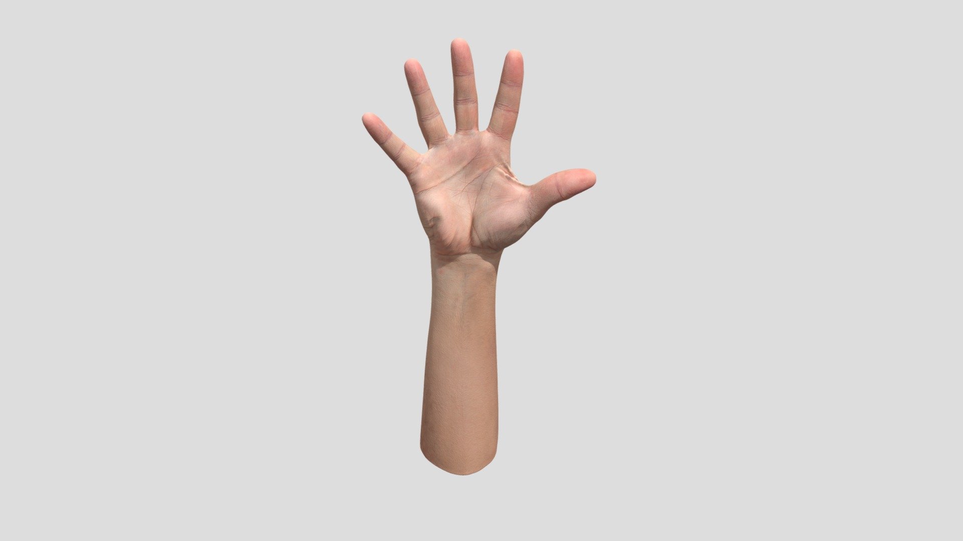 Retopologized 3D Hand Scan Jake Perry 3d model