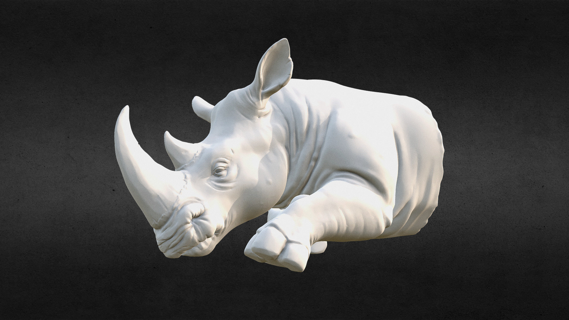 Rhino 3d model