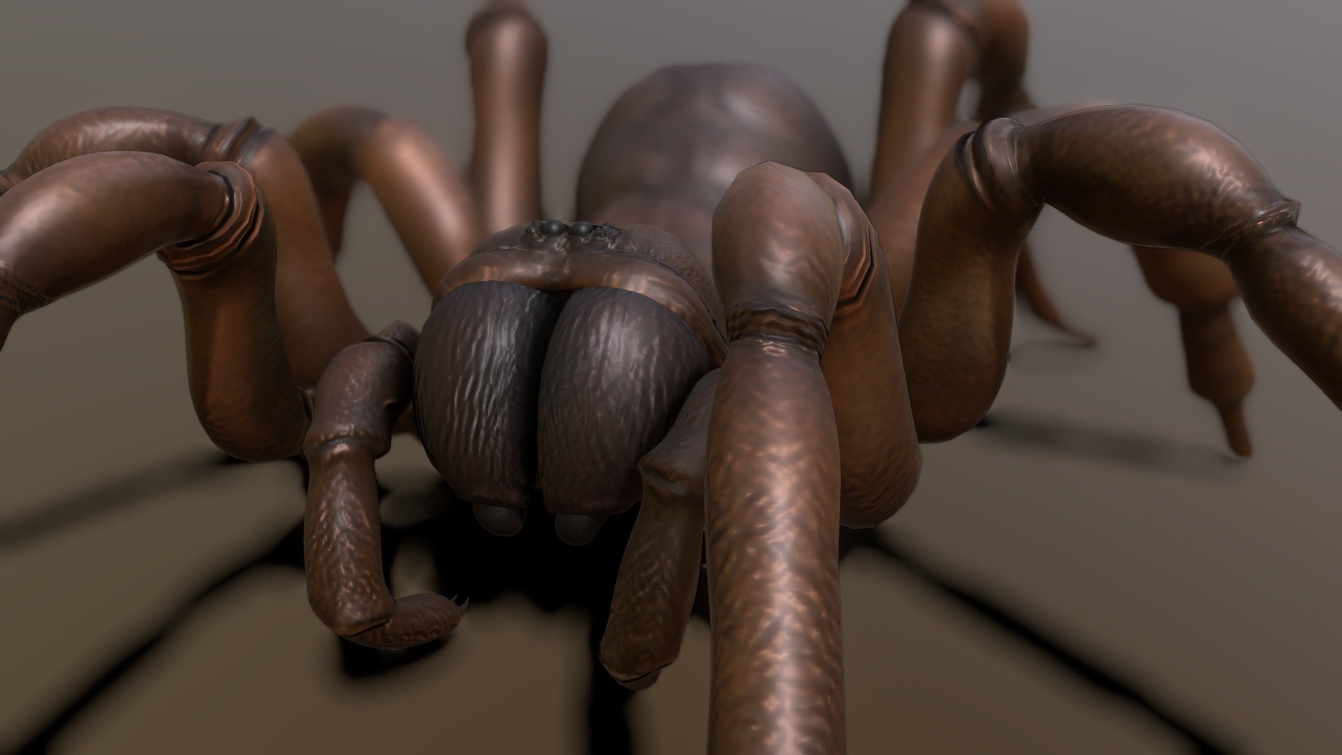 Trap Door Spider 3d model