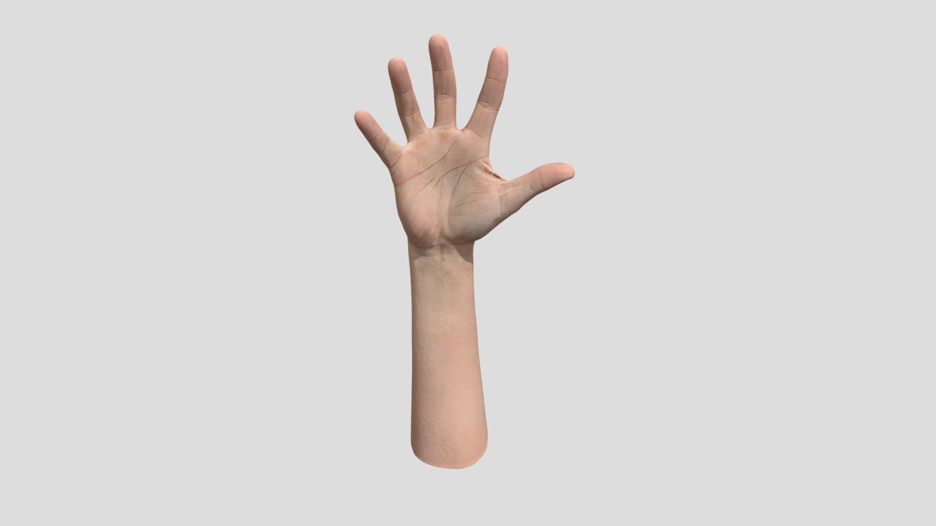 Retopologized 3D Hand Scan Richard 3d model