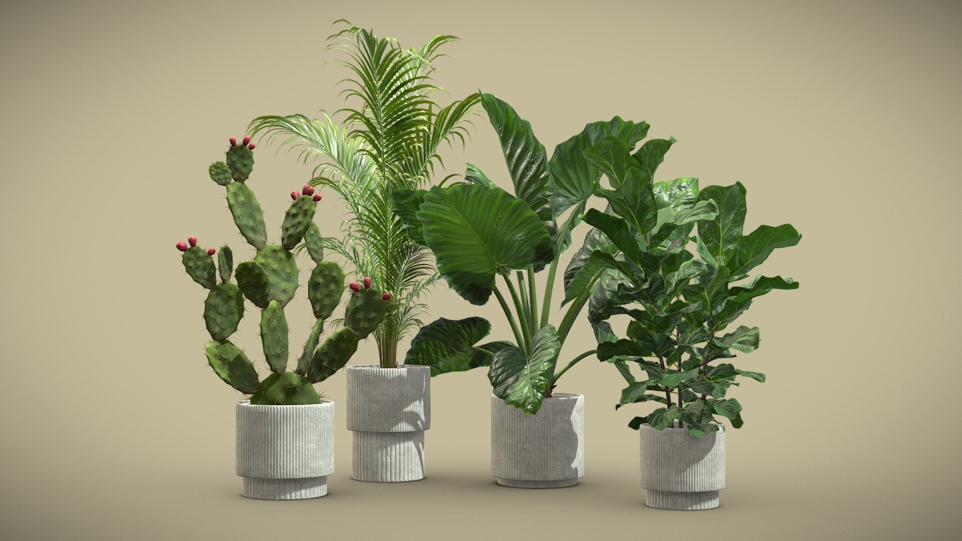 Indoor Plants Pack 64 3d model