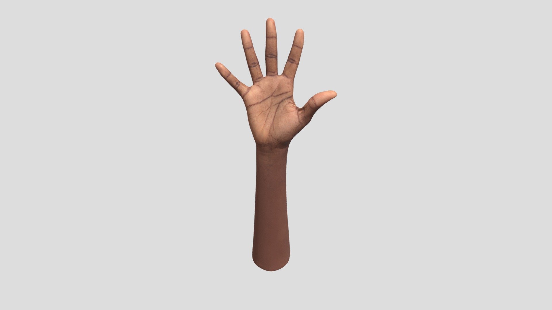 Retopologized 3D Hand Scan Shamone Glenn 3d model