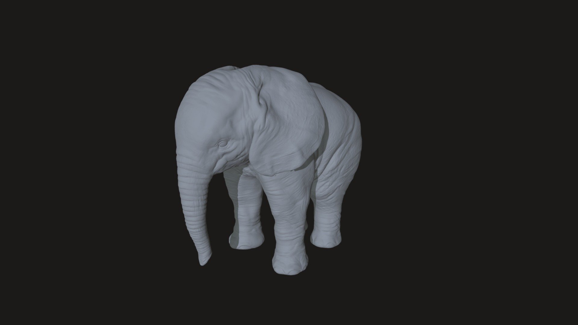 Elephant 3d model