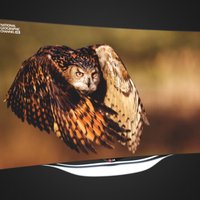 LG Curved LED TV