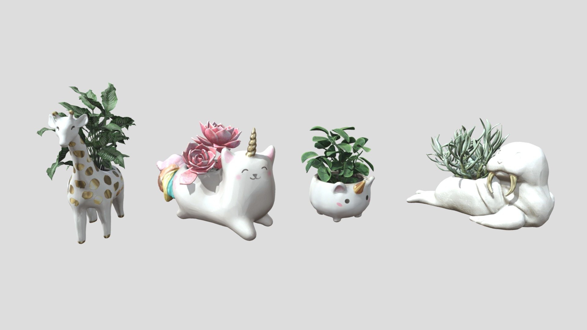 indoor plants pack 07 3d model