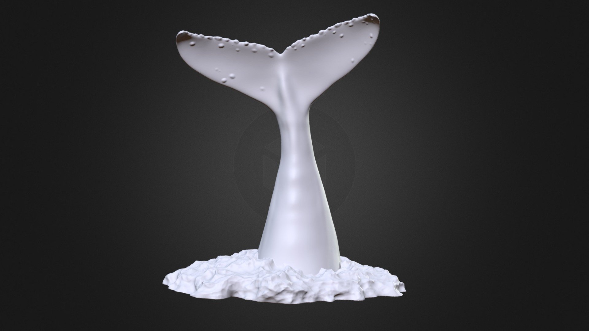 Humpback Whale Tail Off The Water-3D Printable 3d model