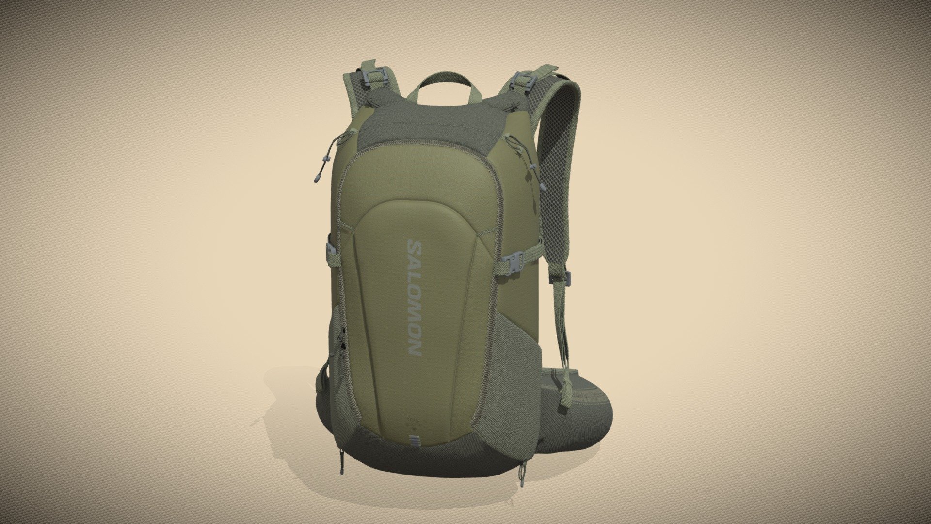 Salomon Trailblazer 3d model