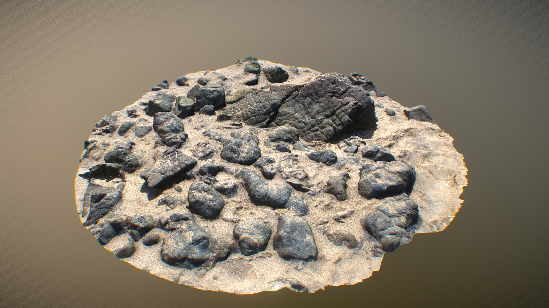 Beach Stone 01 3d model