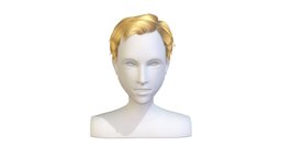 cartoon lush man 011 haircut of short lenght