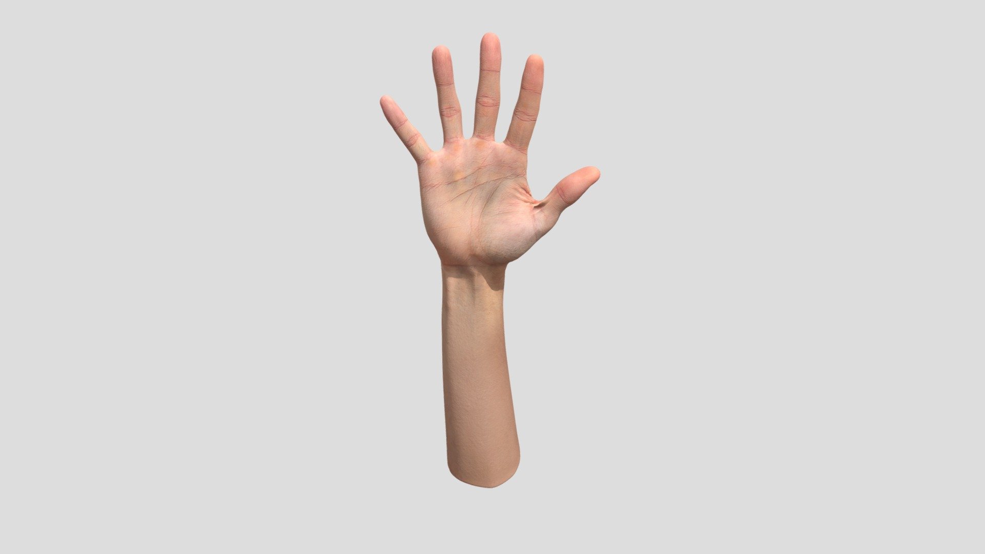 Retopologized 3D Hand Scan Emery Hewitt 3d model