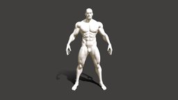 Muscular Basemeshes, low & high poly, rigged