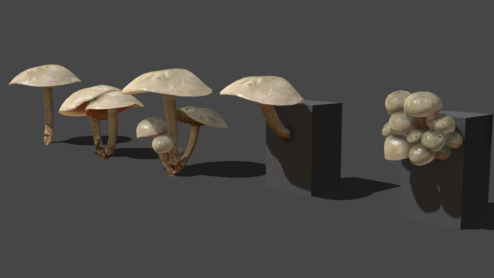 Mushroom_11 3d model