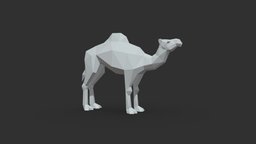 Camel low poly