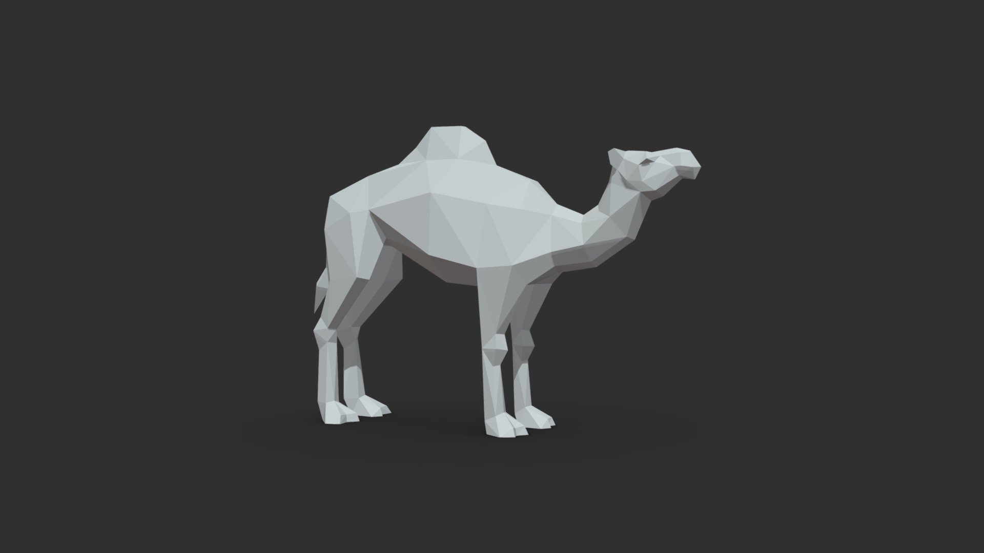 Camel low poly 3d model