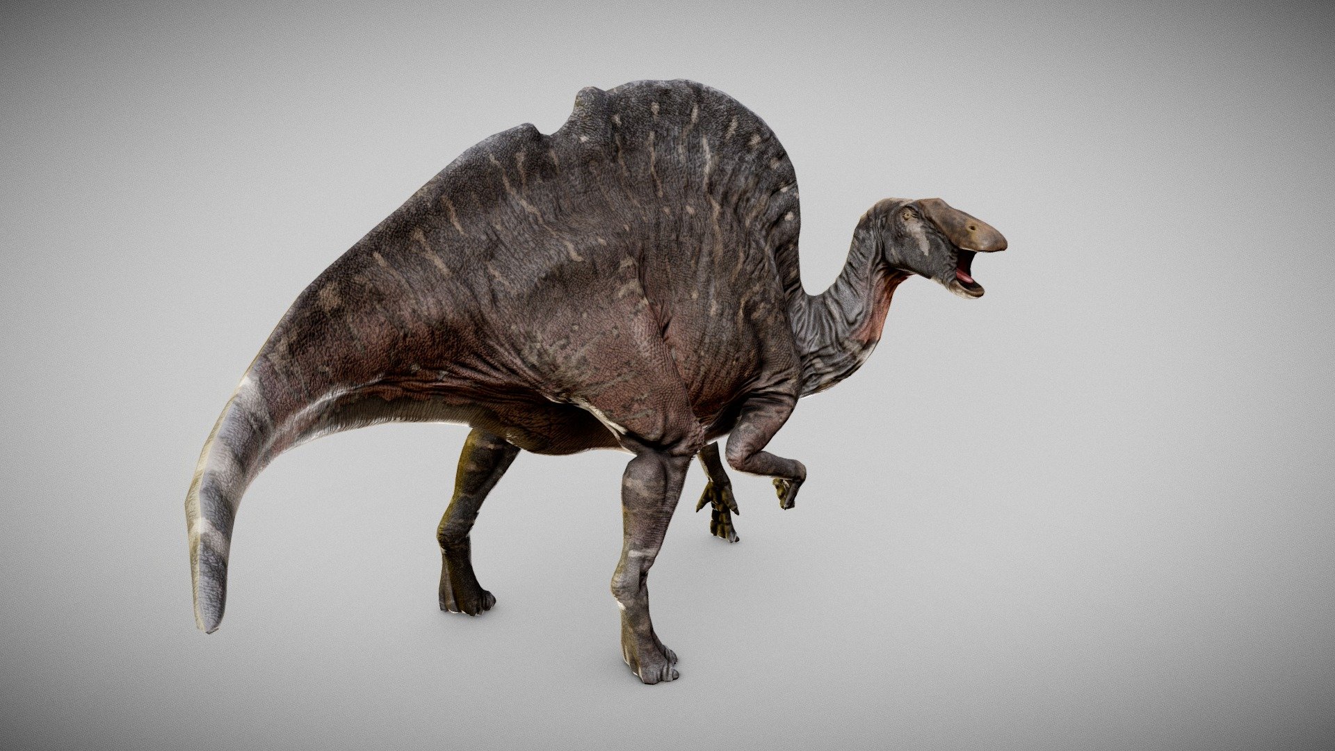 Ouranosaurus 3d model