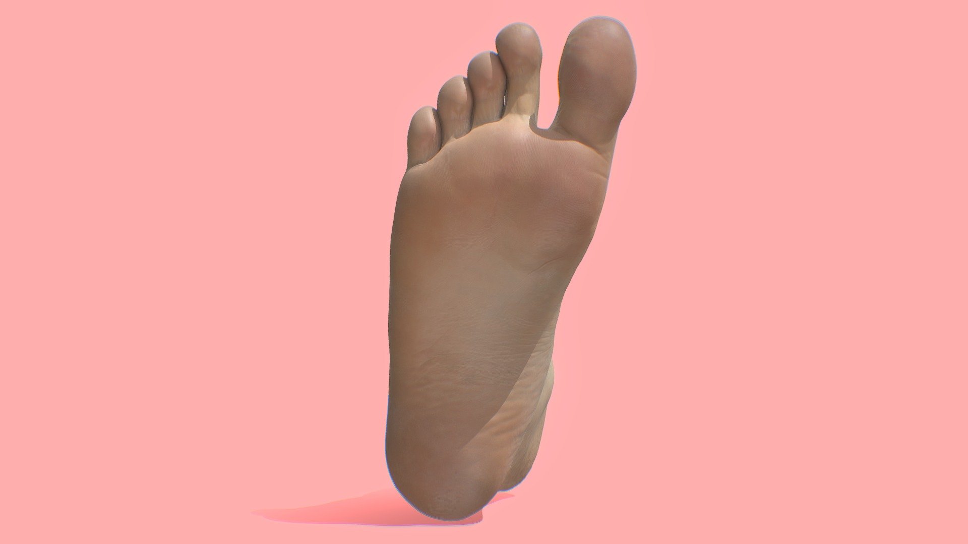 Mens Foot 3D Scan 3d model