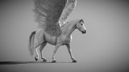 Pegasus