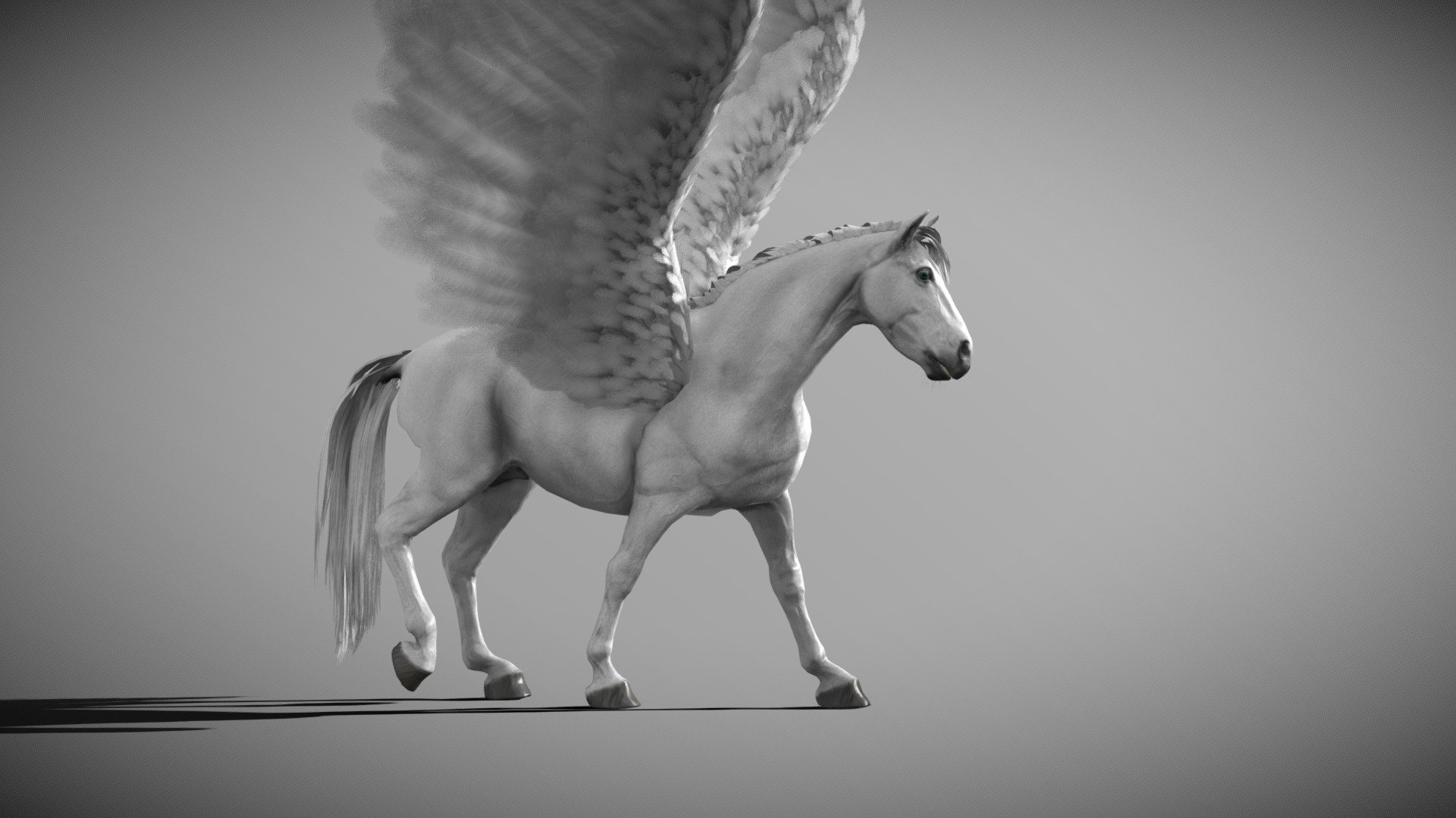 Pegasus 3d model