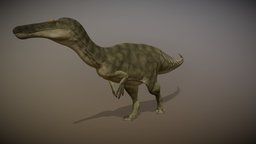 Suchomimus Tenerensis