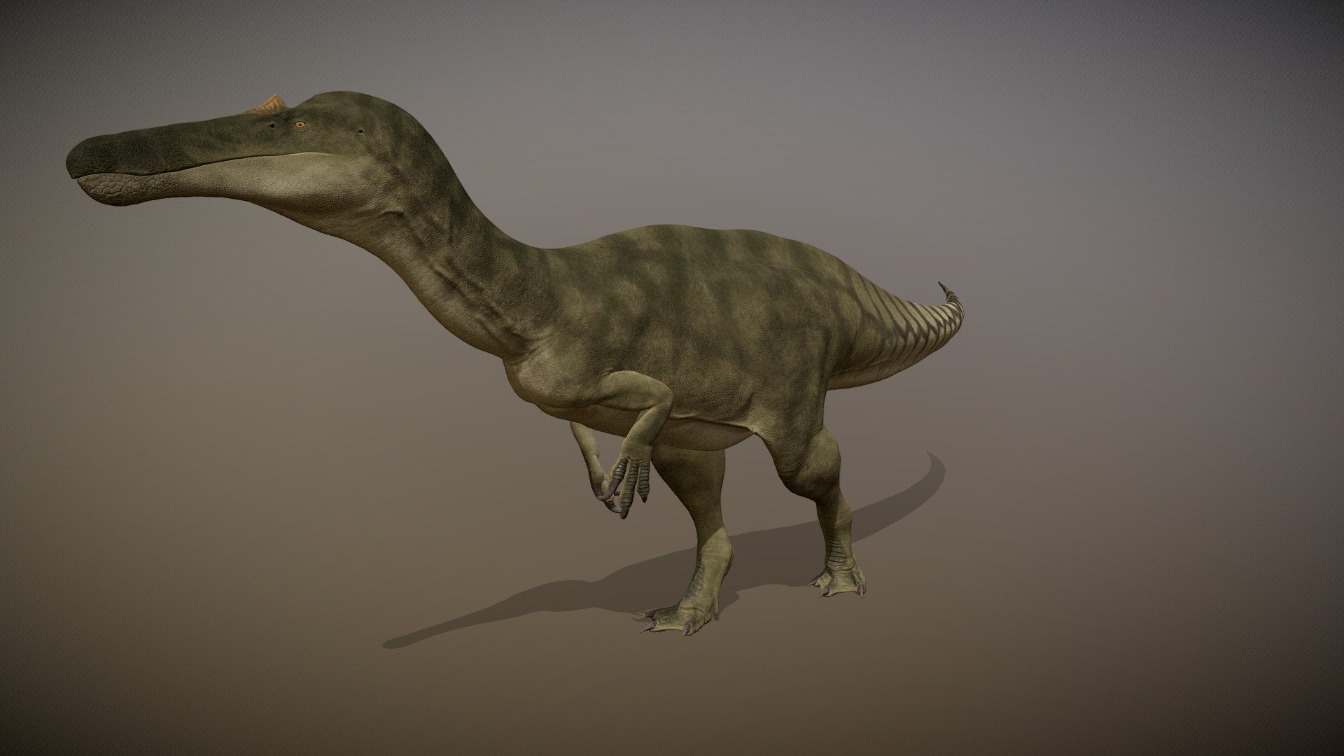 Suchomimus Tenerensis 3d model