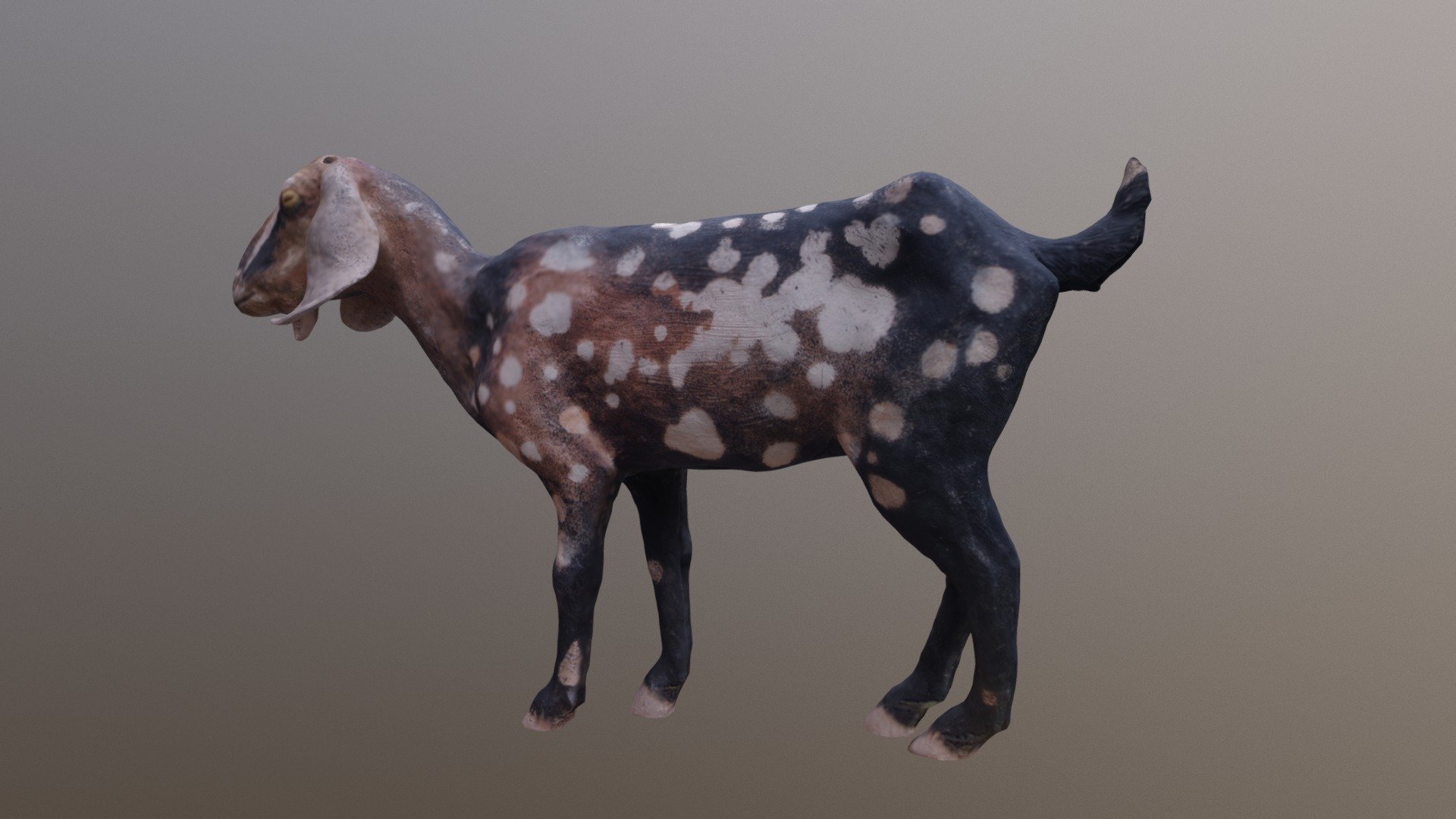 Clay Goat 3d model