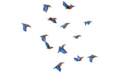 animated flock birds lowpoly art style