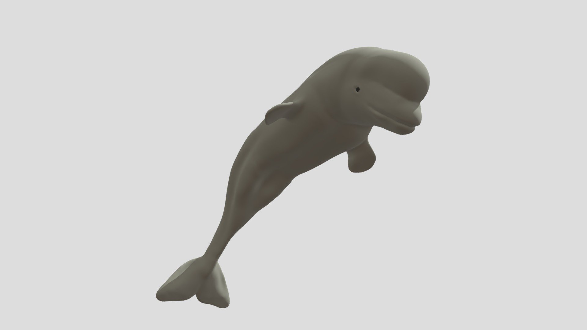 beluga whale 3d model